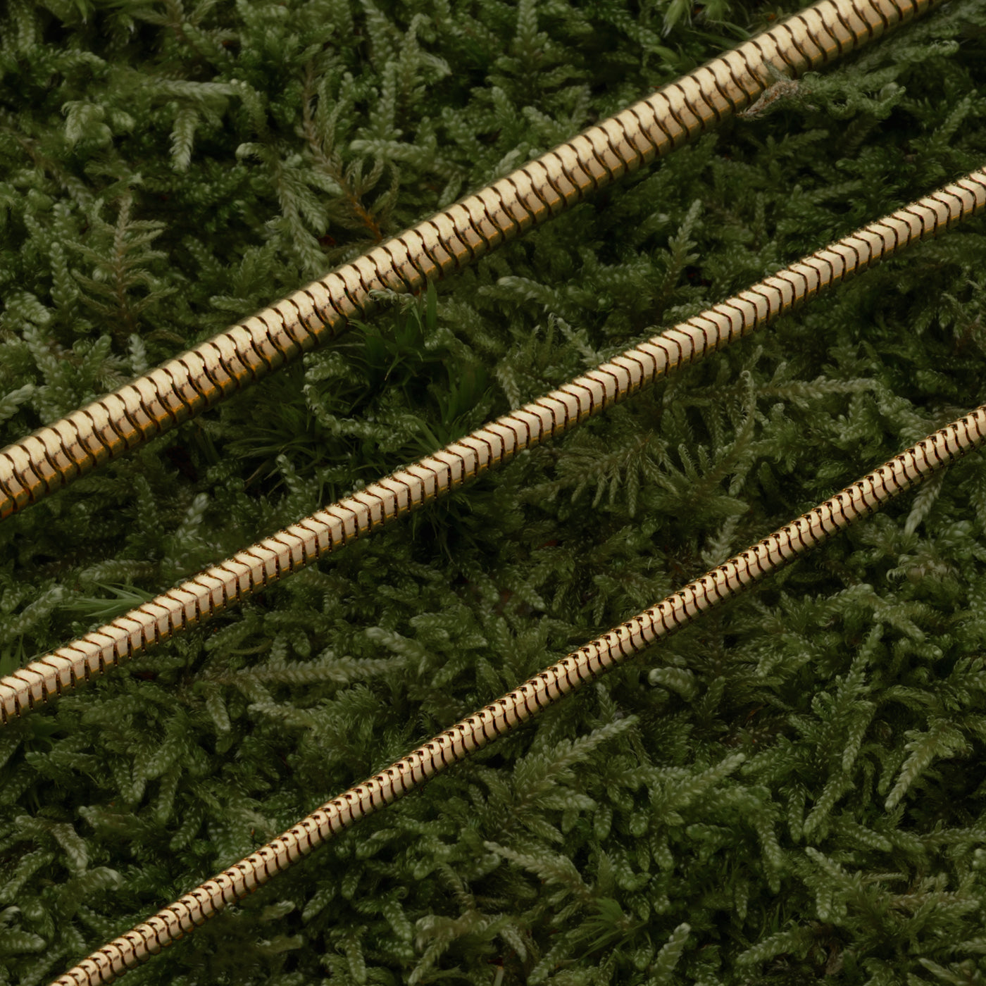 Snake Chain, Gold Plated