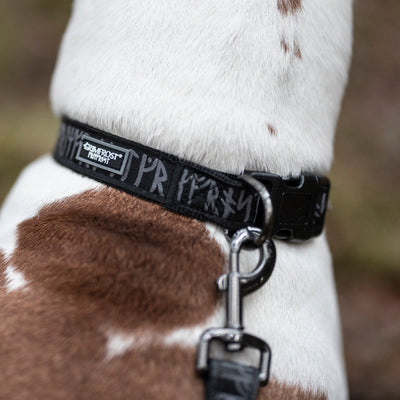 Grimfrost's Dog Collar, Runic