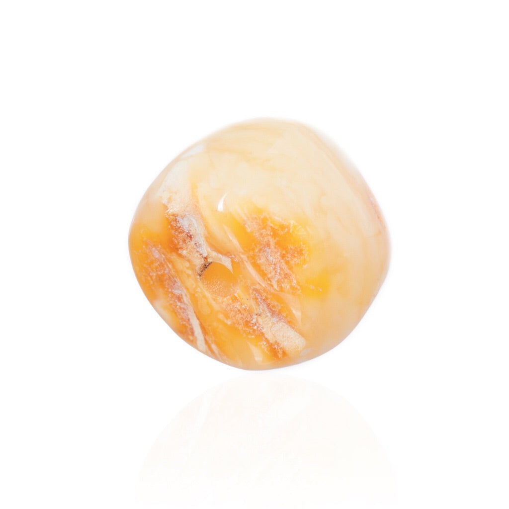 Amber Beads - Amber Disc Bead, Large - Grimfrost.com